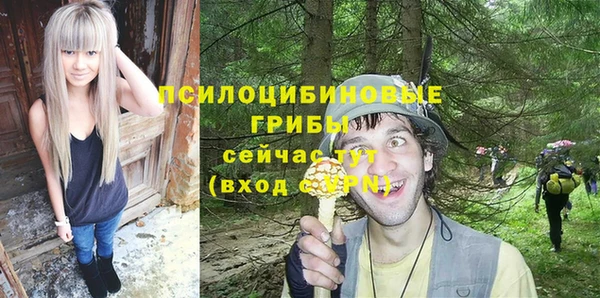 экстази Арсеньев