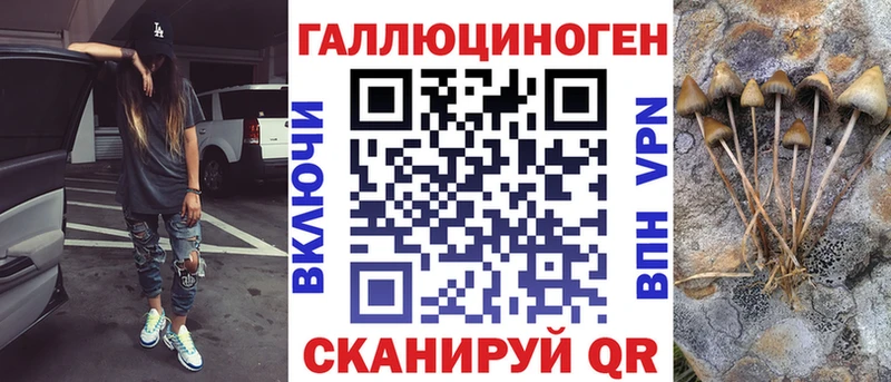 Галлюциногенные грибы Cubensis  сколько стоит  OMG ссылки  Северобайкальск 